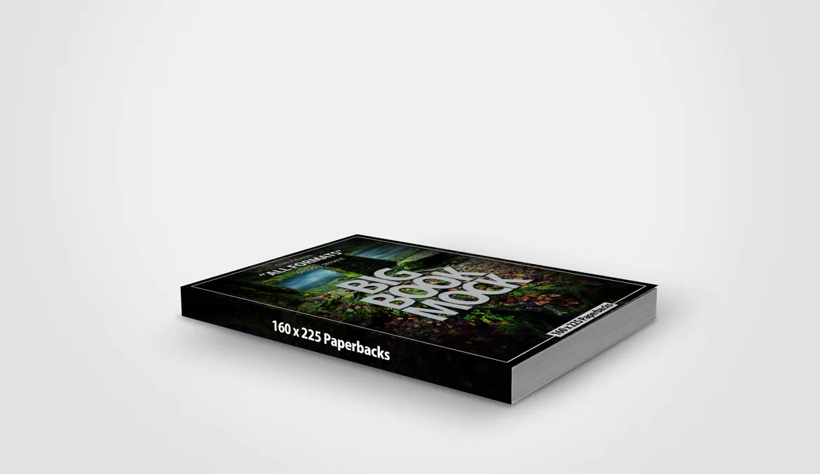 Book Mockup Dimension 160 x 225 mm - Paperbacks插图7