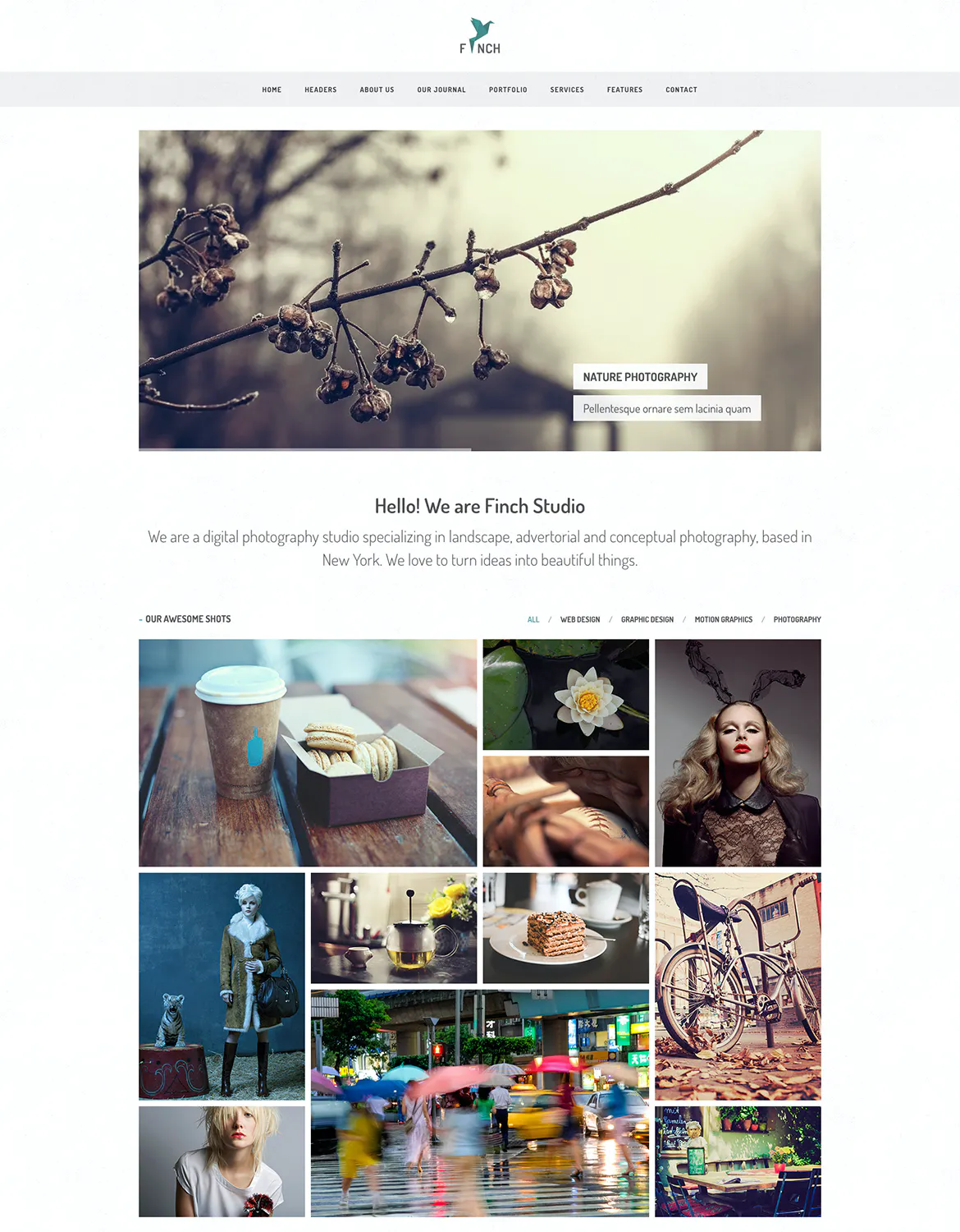 Finch – Photography & Magazine Site Template插图3