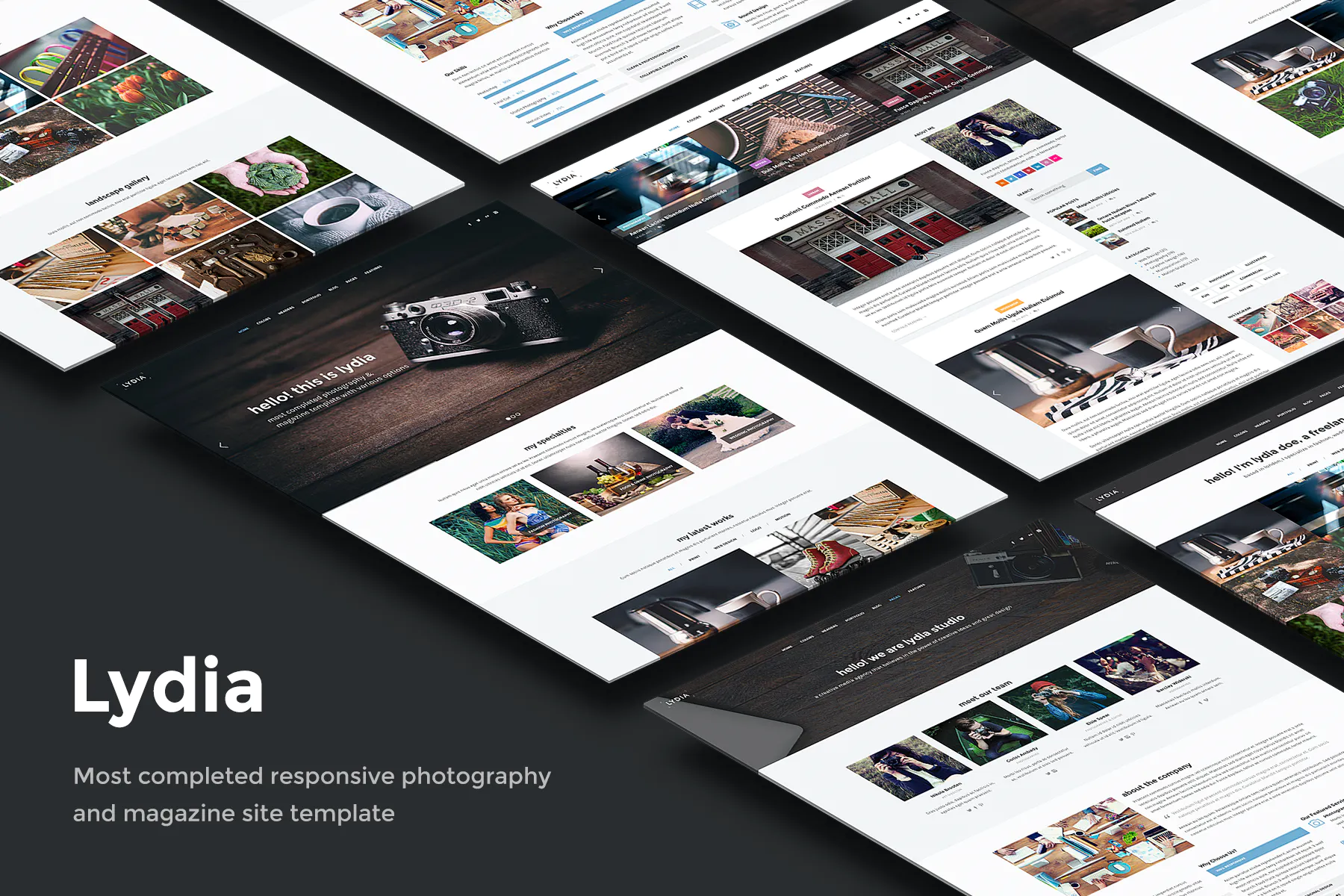 Lydia - Photography & Magazine Site Template插图