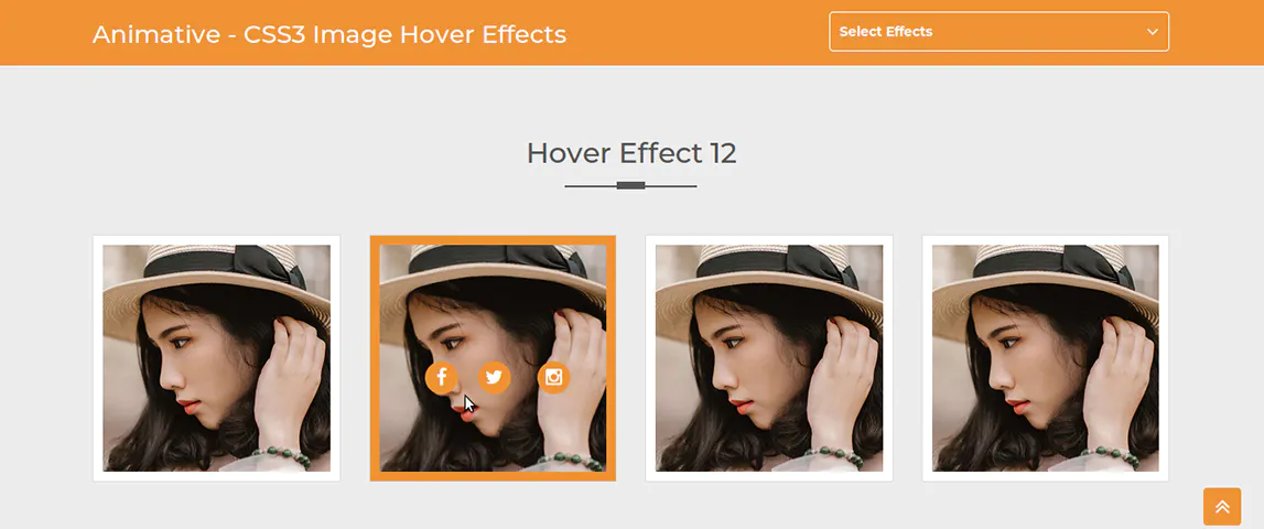 Animative - CSS3 Image Hover Effects插图3