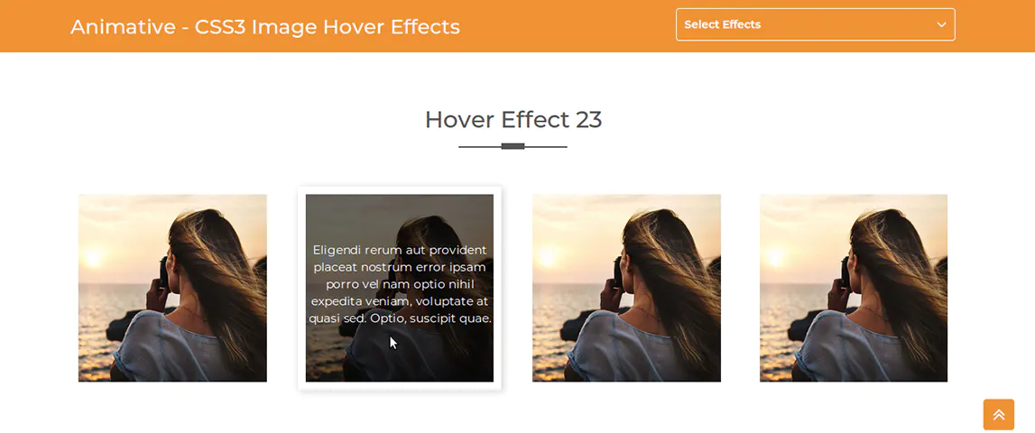 Animative - CSS3 Image Hover Effects插图5