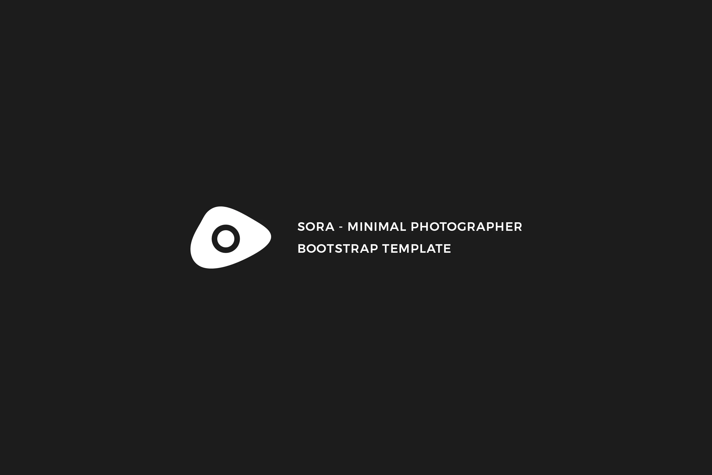 Sora - Minimal Photographer Template插图
