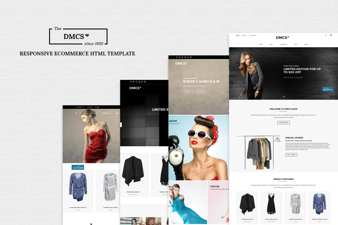 The DMCS - Ecommerce HTML Responsive Template插图