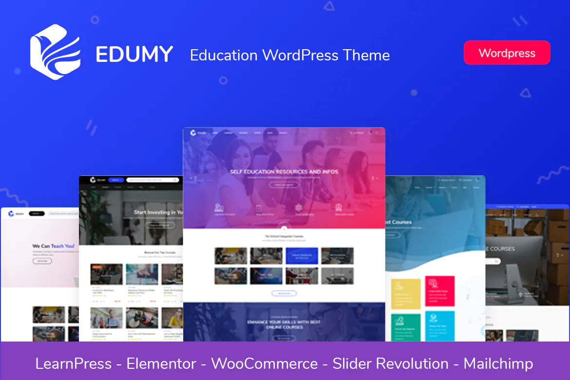 Edumy - LMS Online Education WordPress Theme插图