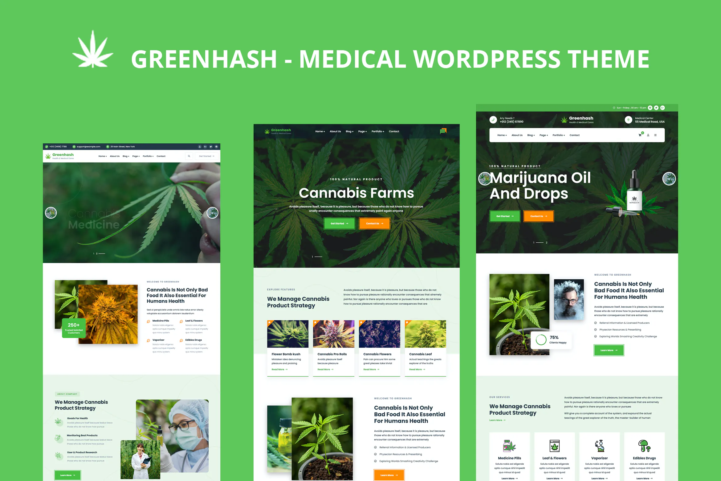 Greenhash - Medical WordPress Theme插图
