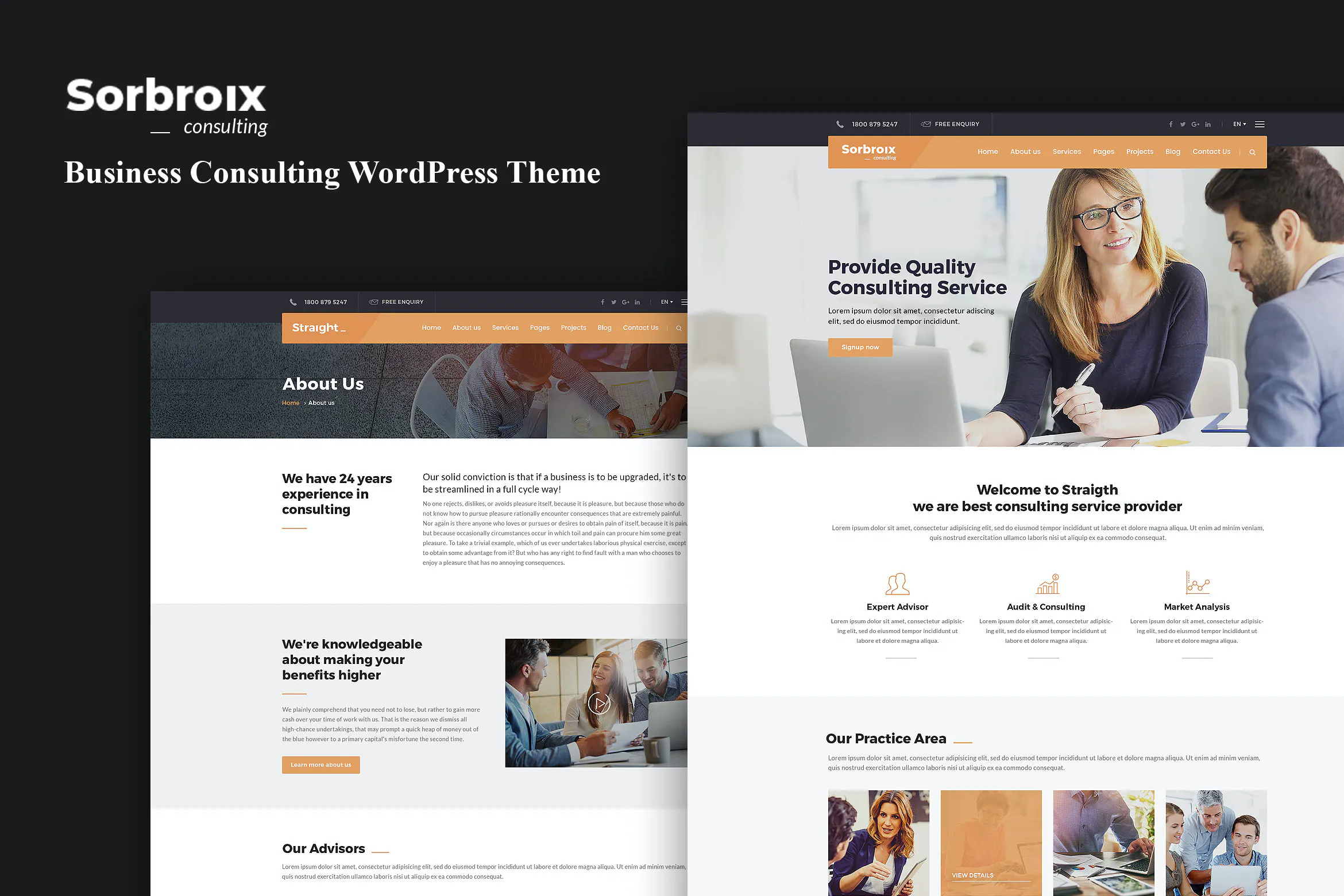 Sorbroix : Business Consulting WordPress Theme插图