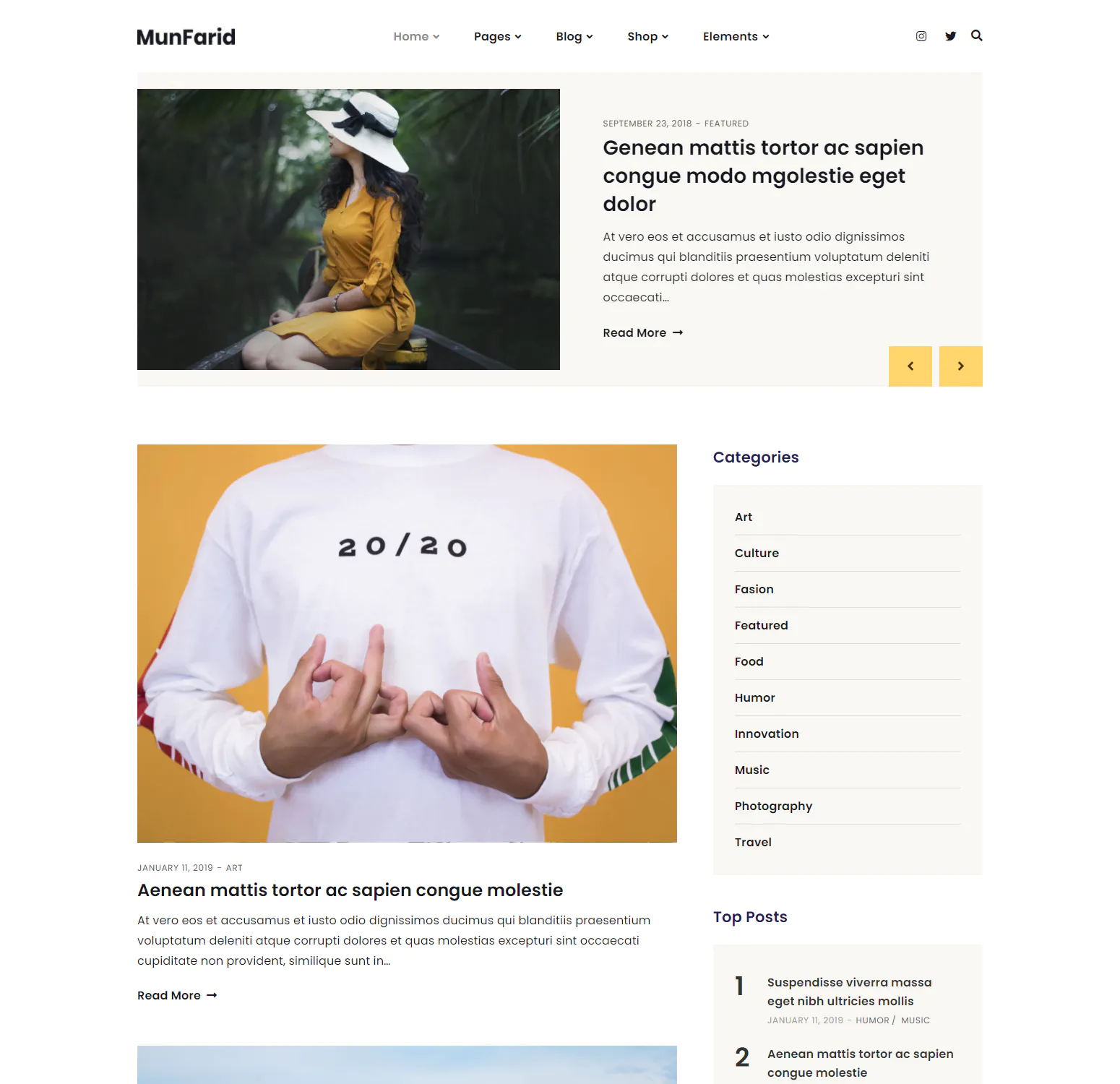 Munfarid - A WordPress Theme For Blog & Shop插图2