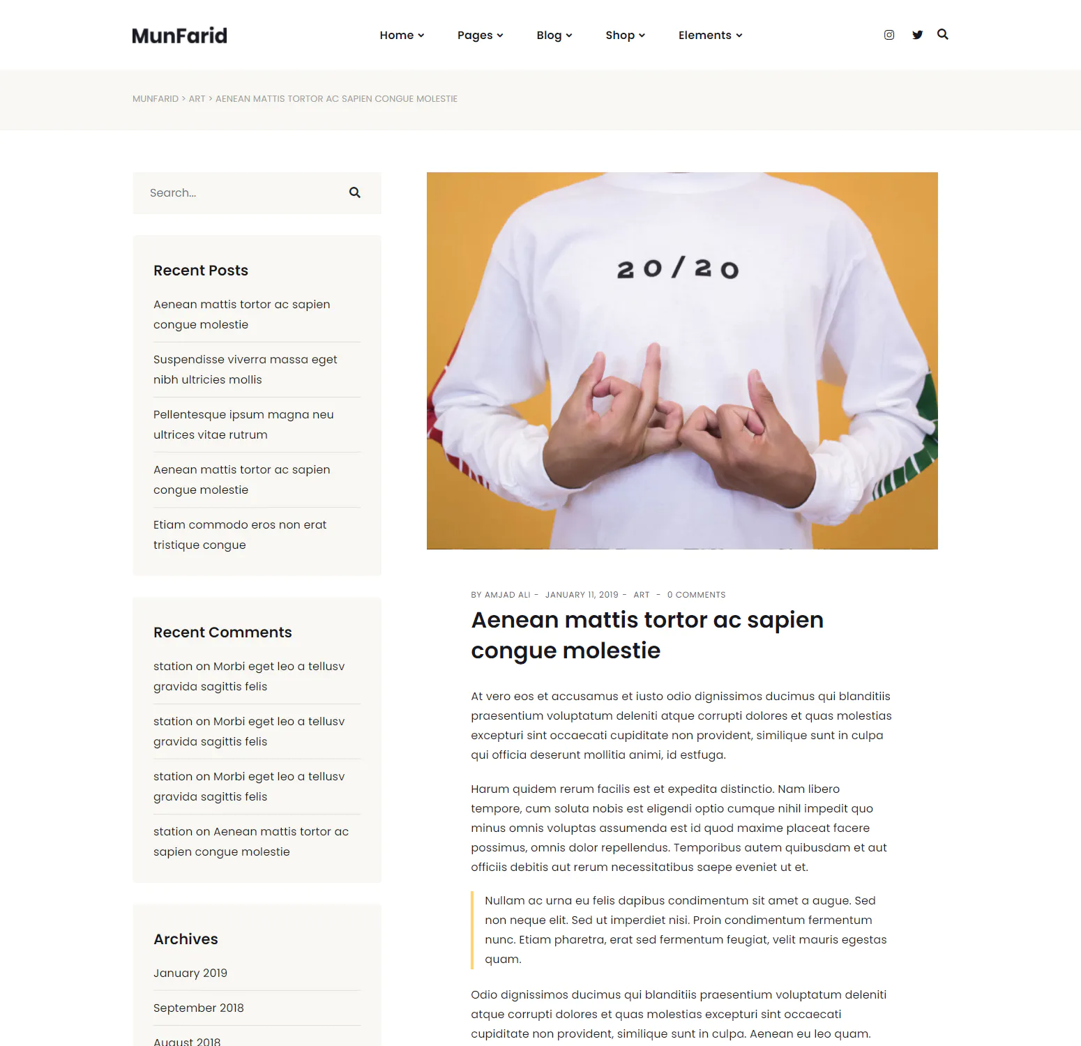 Munfarid - A WordPress Theme For Blog & Shop插图7