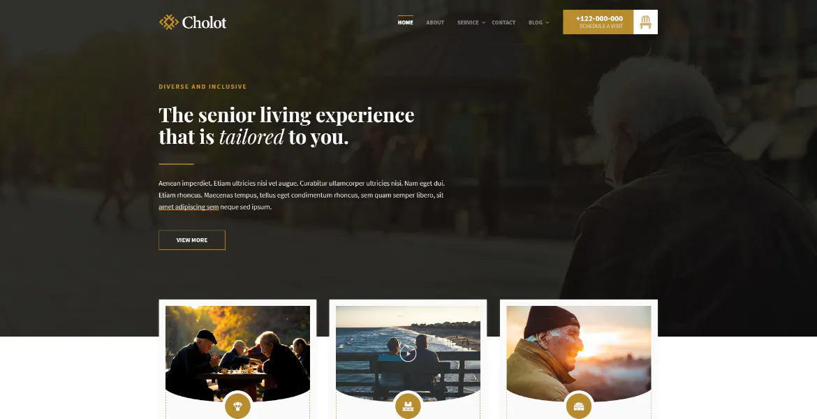 Cholot - Retirement Community WordPress Theme插图1