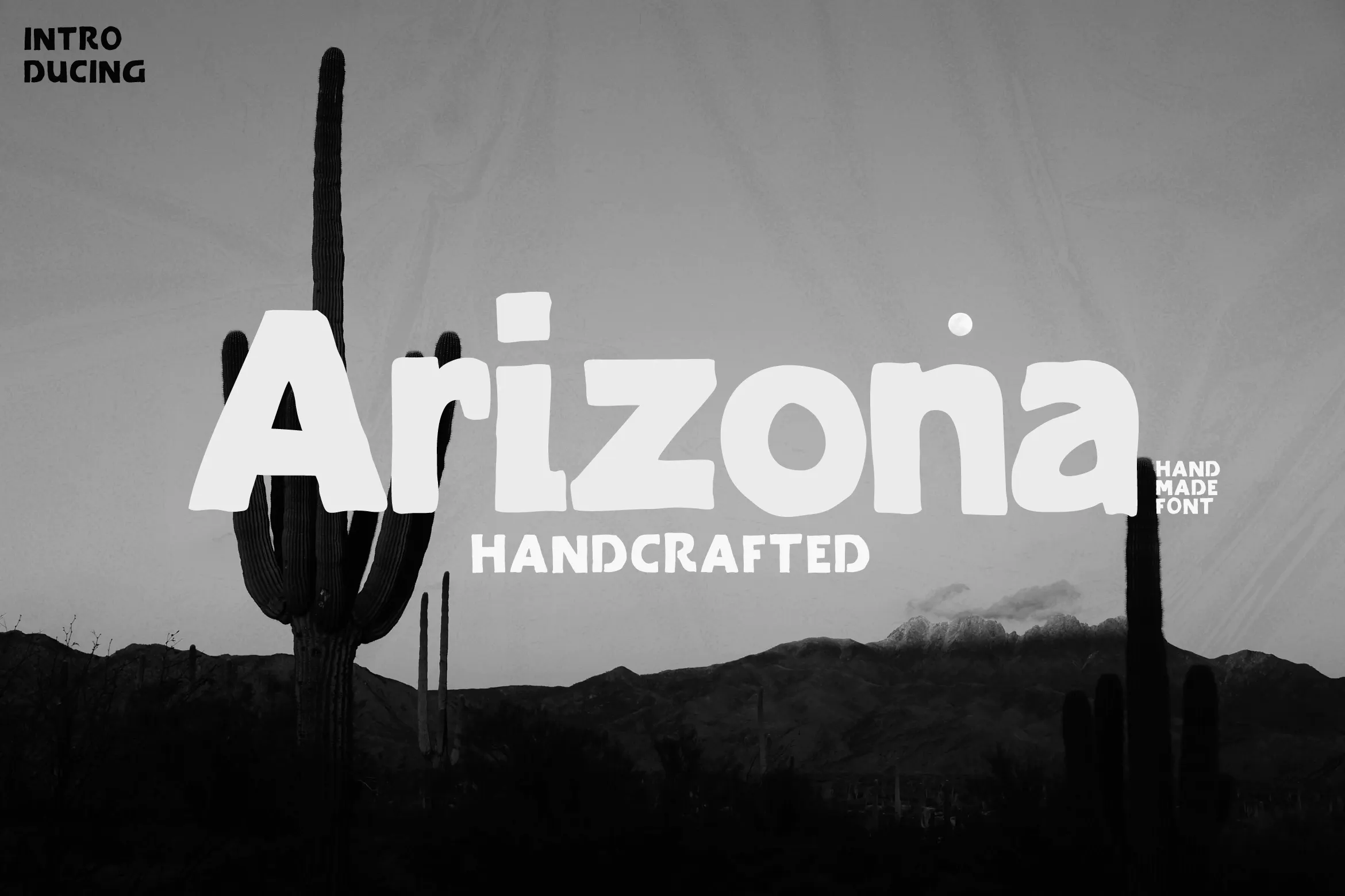 Arizona Family Font插图3