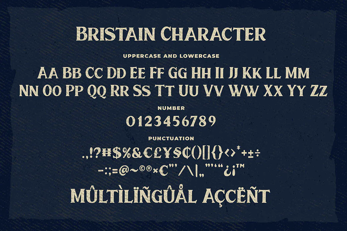 Bristain Rought Serif Font插图4