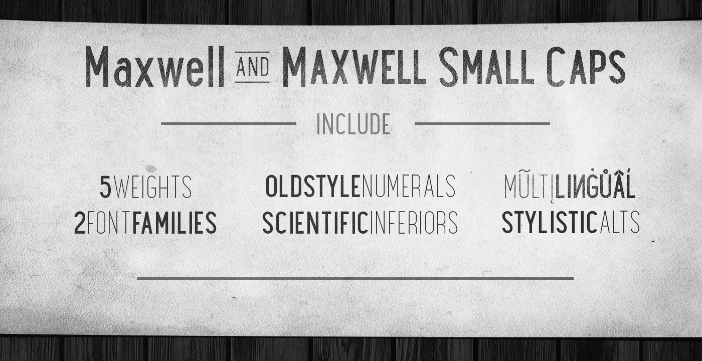 Maxwell Sans Bold插图1