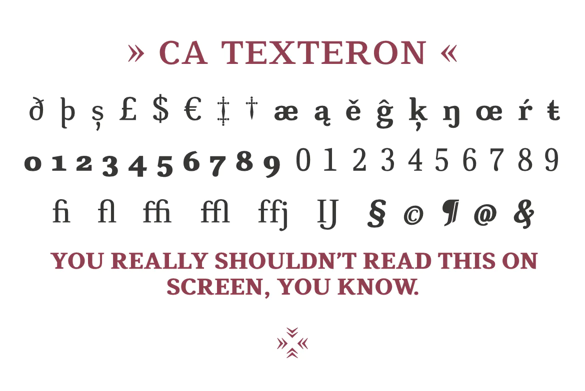 CA Texteron插图1