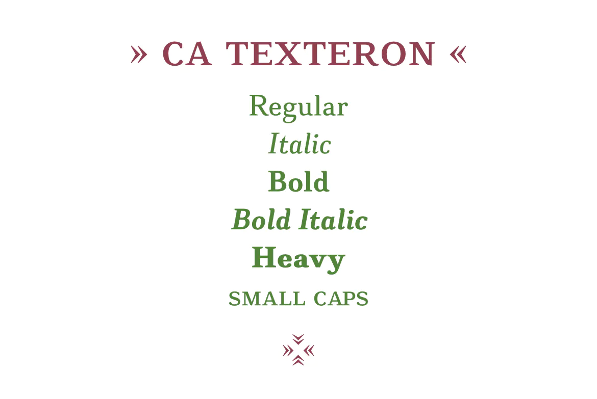 CA Texteron插图4