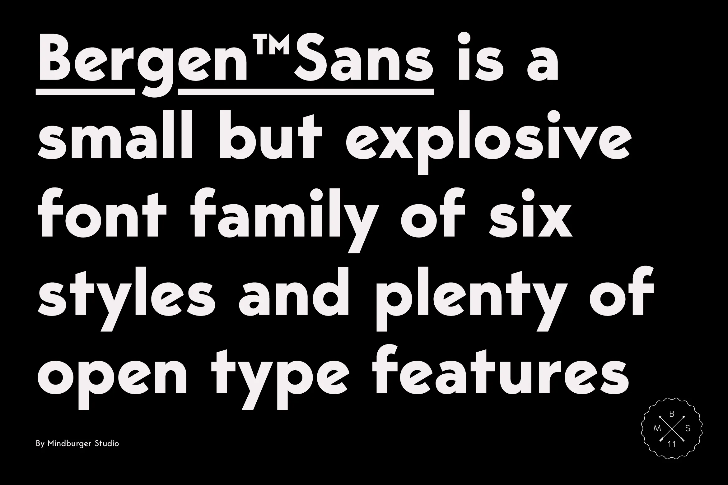 Bergen Sans插图4