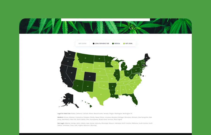 Tijuana - Marijuana Dispensary & Medical WordPress插图1