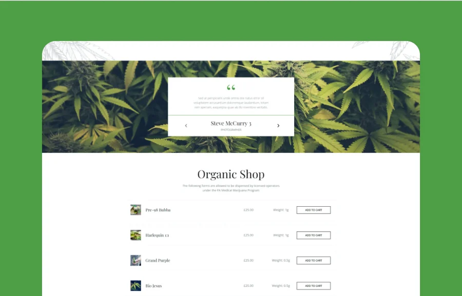 Tijuana - Marijuana Dispensary & Medical WordPress插图2