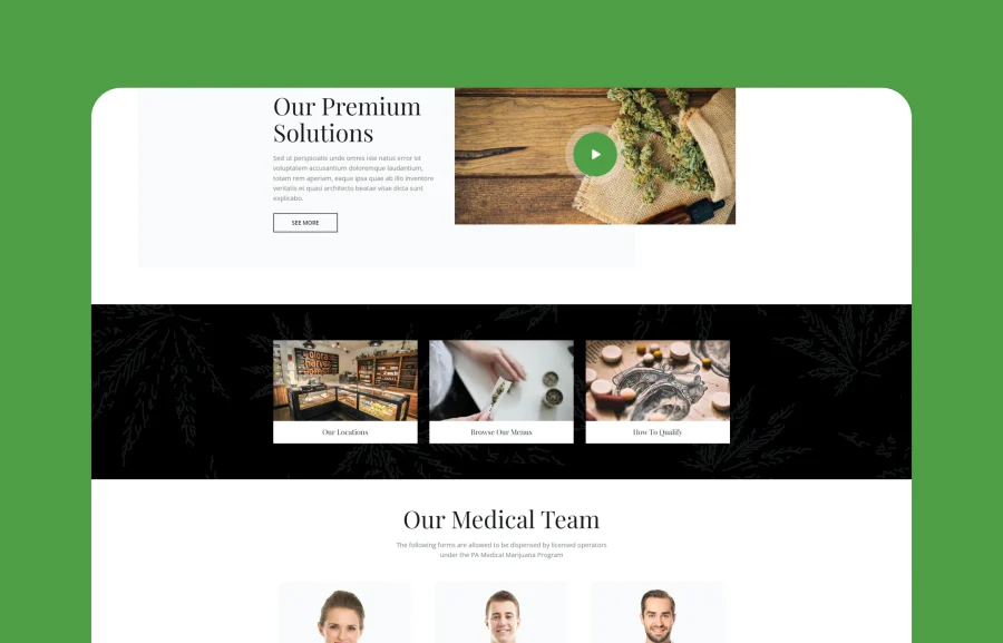 Tijuana - Marijuana Dispensary & Medical WordPress插图3