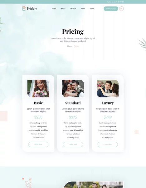 Bridely | Wedding & Event Management HTML Template插图1